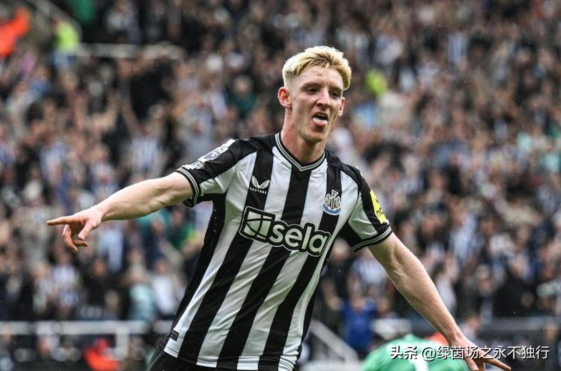 关于纽卡斯尔迎社区盾关键赛,转会期回应争议,话题不断,身体对抗强度拉满的信息星空体育登录入口